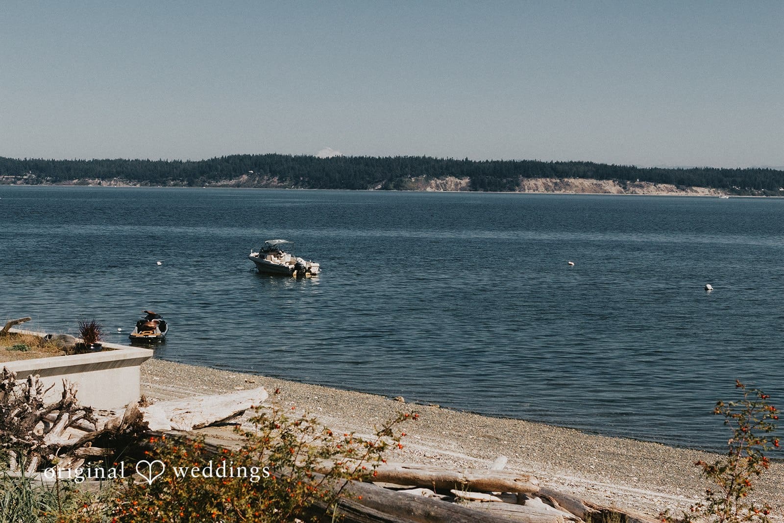 Washington Backyard Wedding // Ashley & Garrett -