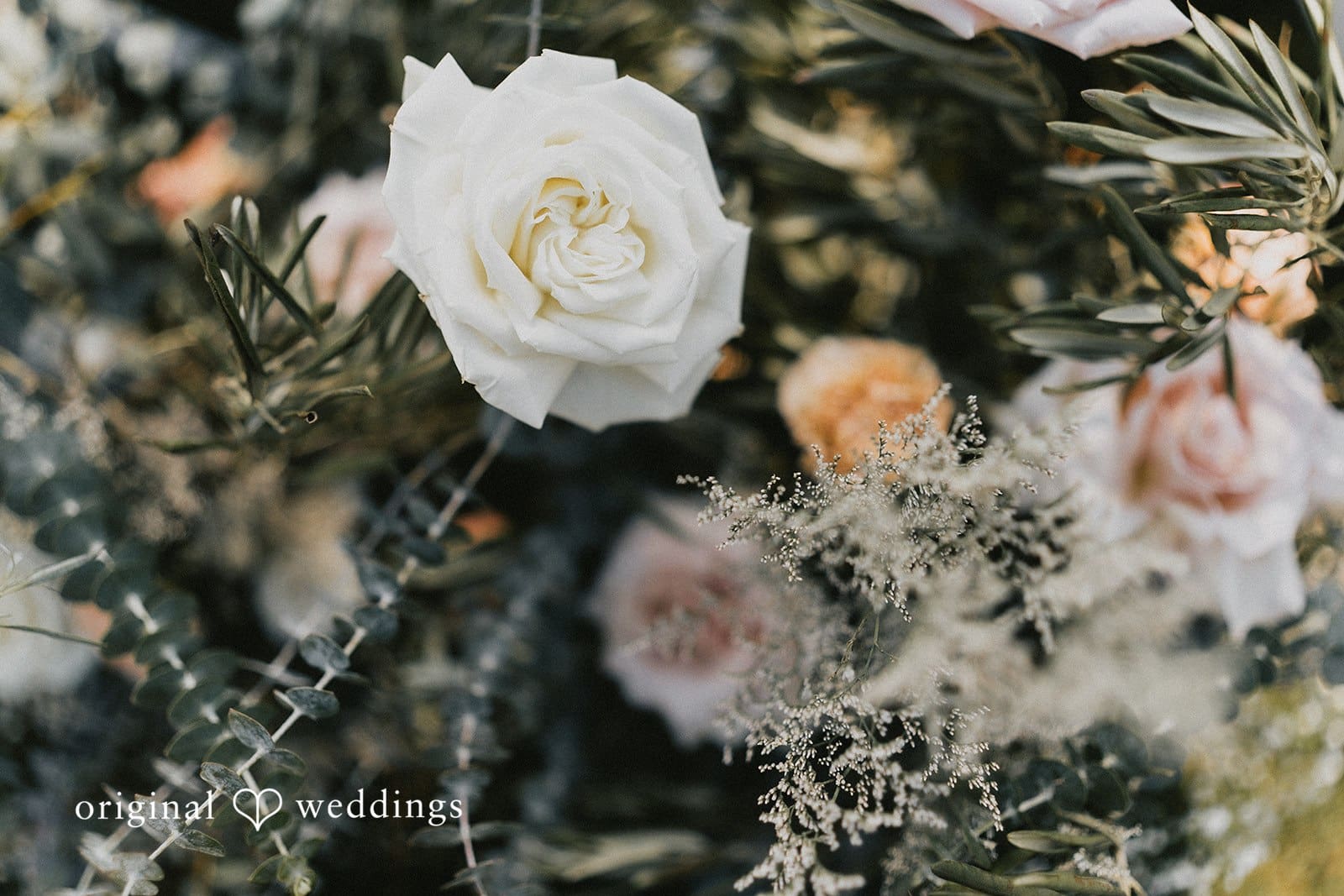 Washington Backyard Wedding // Haylee & Jacob -