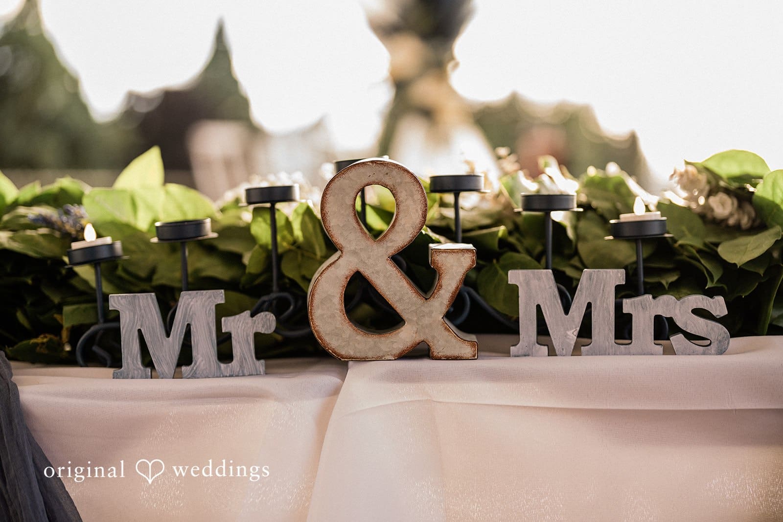 Washington Backyard Wedding // Brianna & Zack -