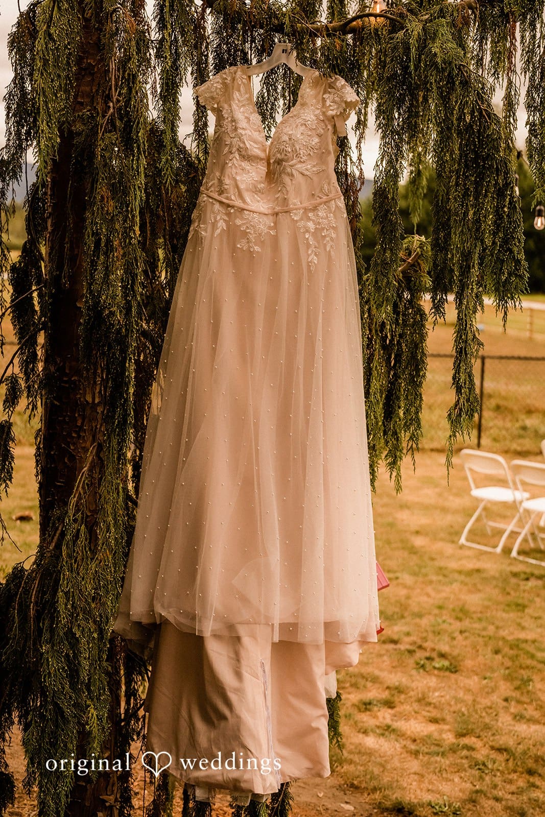 Washington Backyard Wedding // Brianna & Zack -