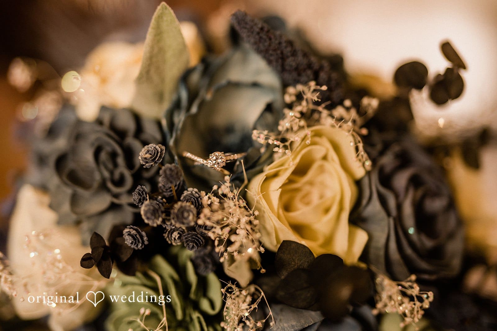 Washington Backyard Wedding // Brianna & Zack -