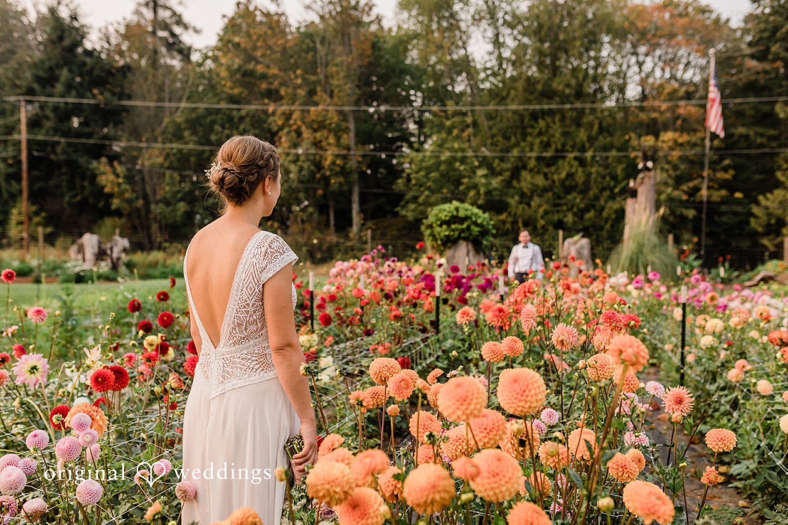 Washington Backyard Wedding // Rachel & Zachary -
