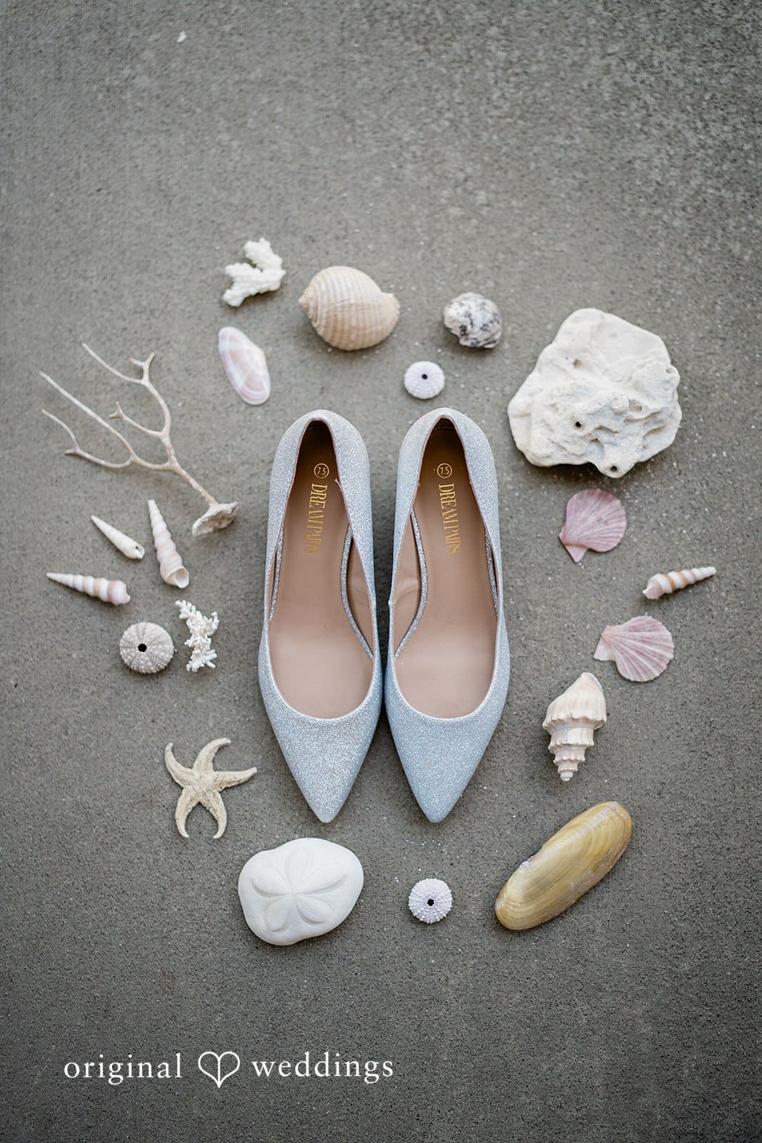 Washington Beach Wedding // Cassandra & Joel -