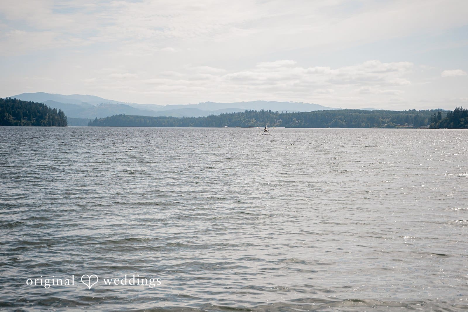 Washington Beach Wedding // Cassandra & Joel -