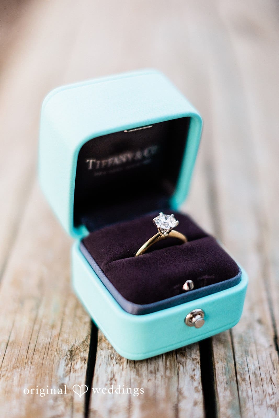 West Seattle Water Taxi Engagement // Victoria & Austin -