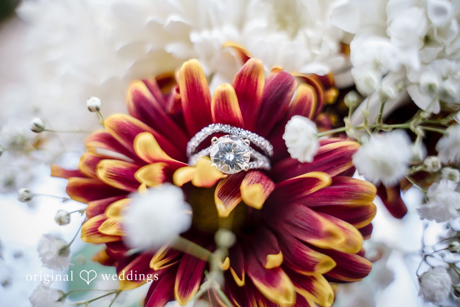 William Paca House and Garden Wedding // Jayse & Julia -