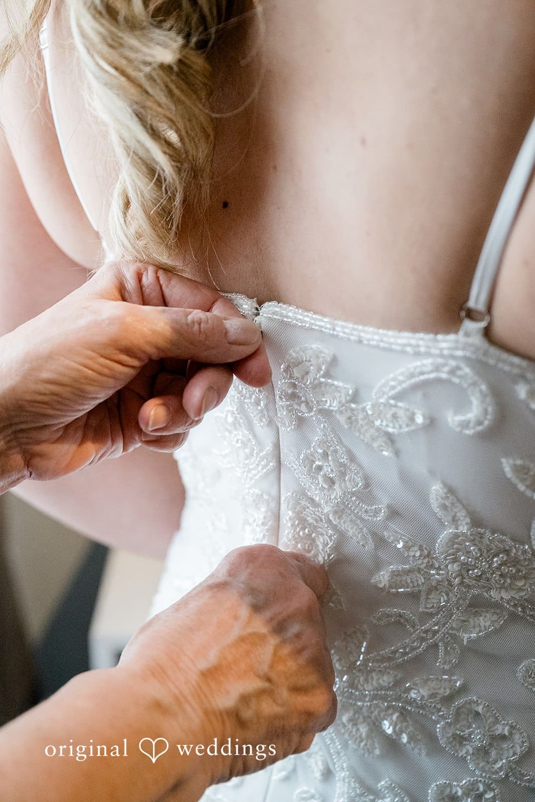 Wine Garden Wedding // Allison & Carlos -