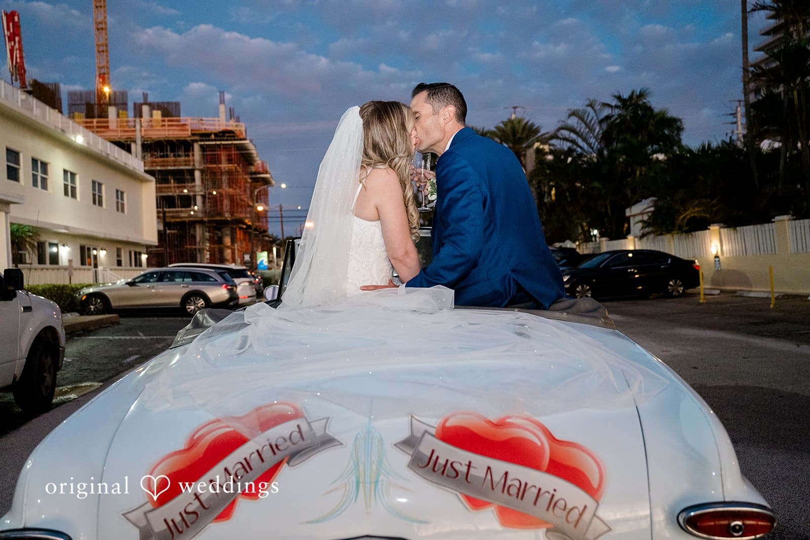 Wine Garden Wedding // Allison & Carlos -