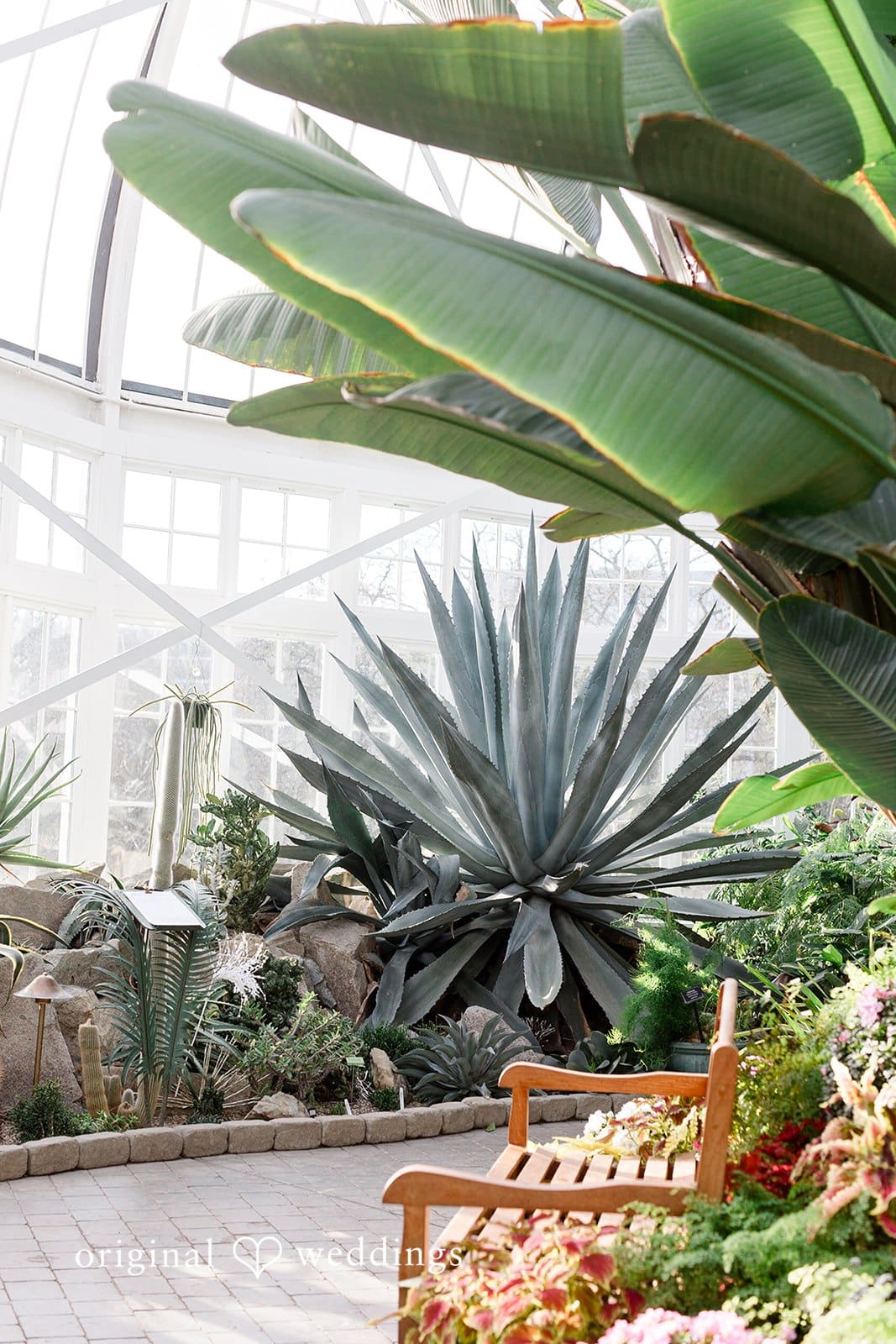 Wright Park Engagement // Leah & Ian -