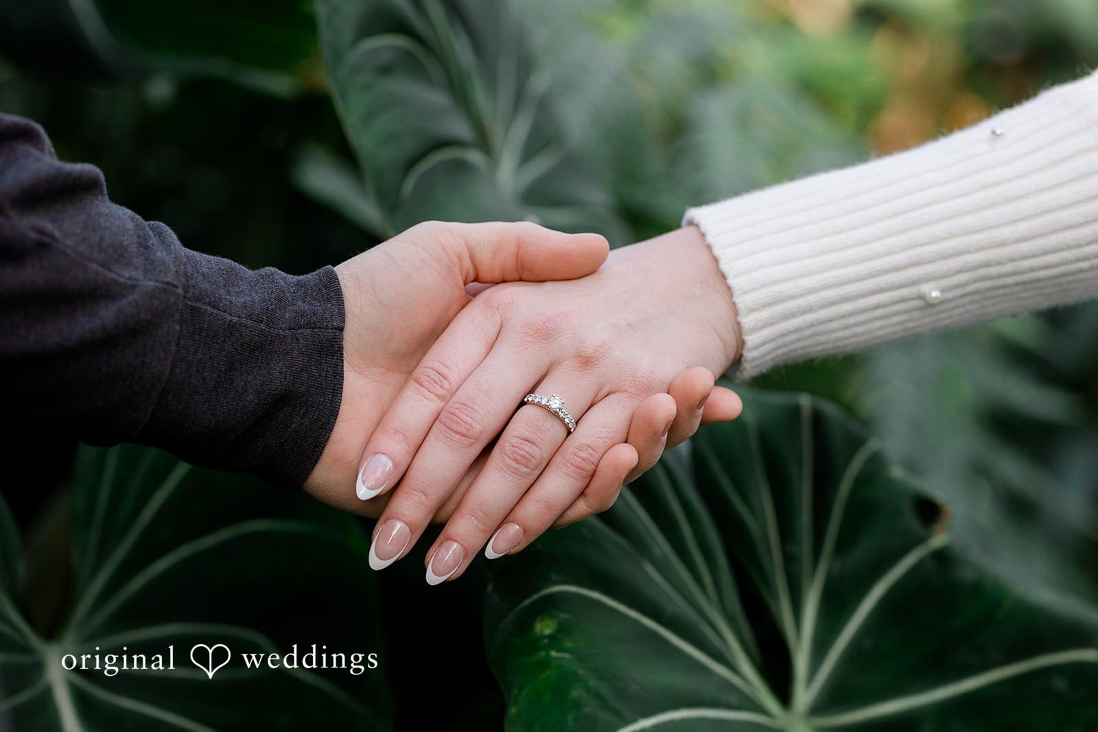 Wright Park Engagement // Leah & Ian -