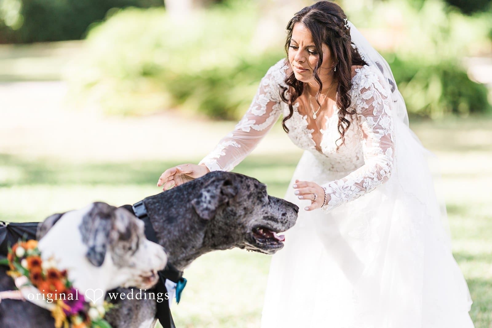 Bakers Ranch Wedding // Alexandra & Christopher -