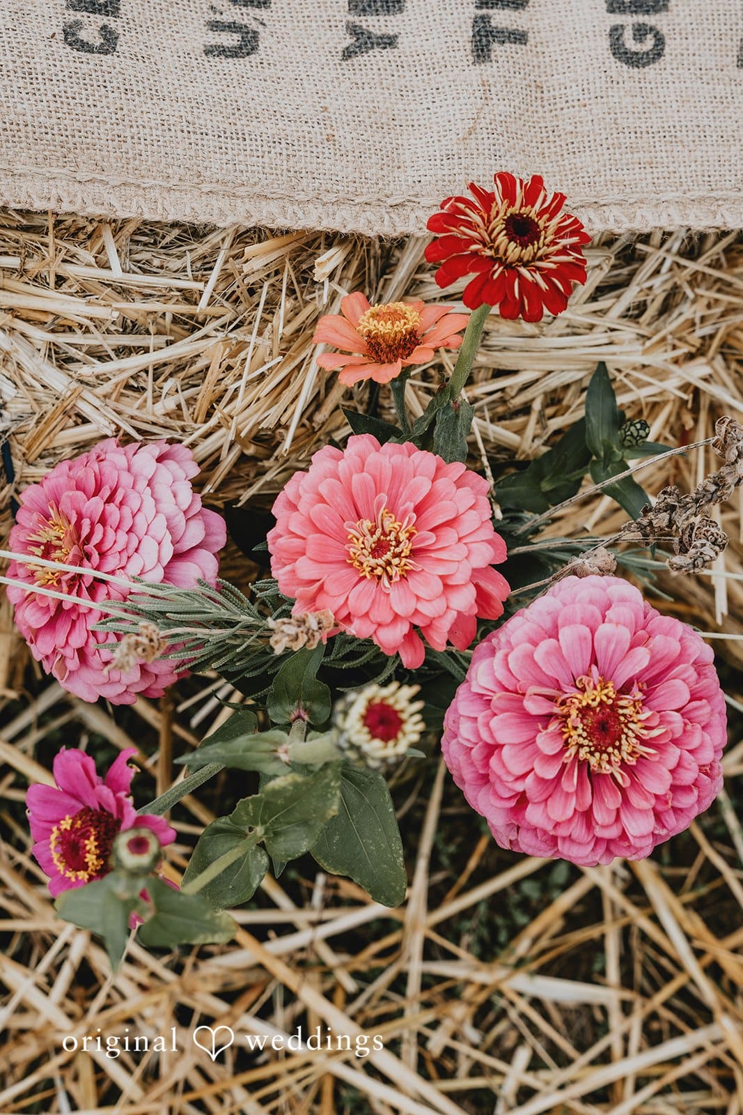 California Backyard Wedding // Charlie & Nicholas -