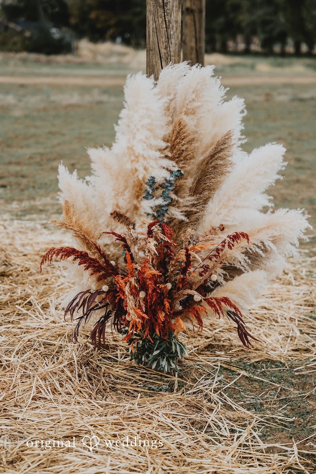 California Backyard Wedding // Charlie & Nicholas -