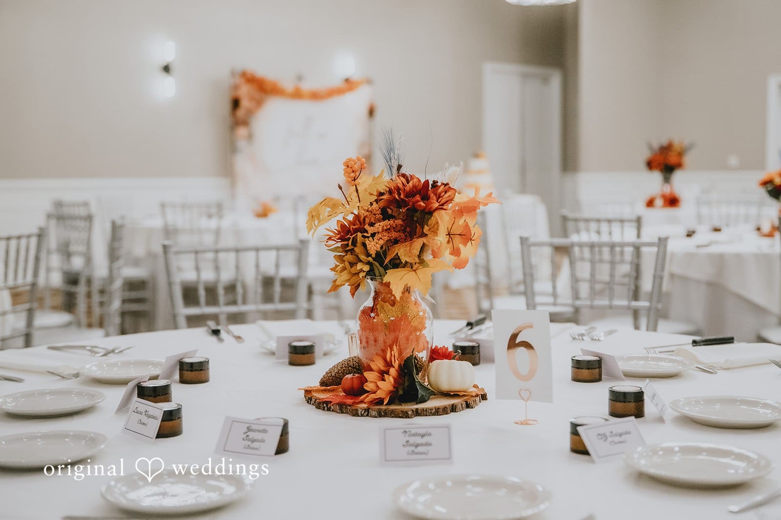 Carrollwood Country Club Wedding // Tracy & Wilfred -