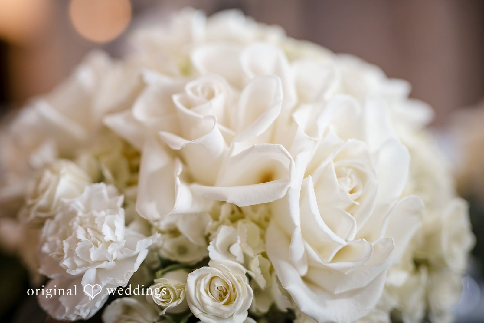 Florida Backyard Wedding // Amanda & Trevor -