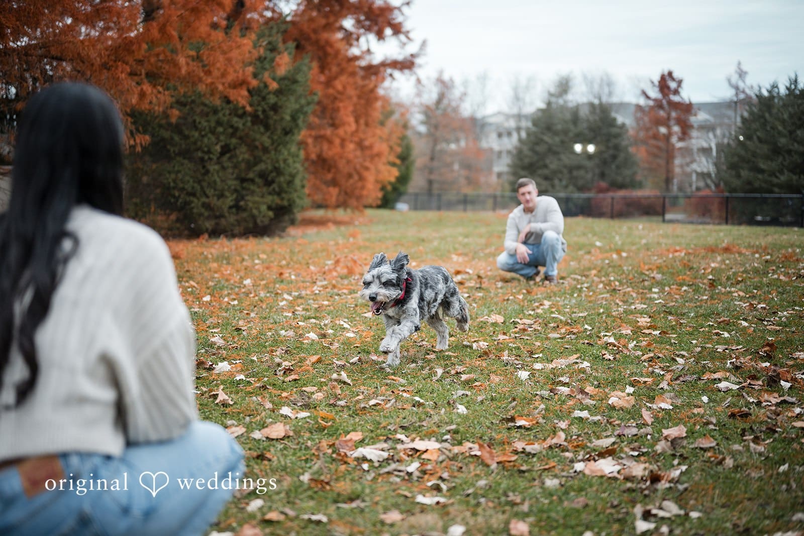 Glenwood Gardens Engagement // Sydney & Ty -