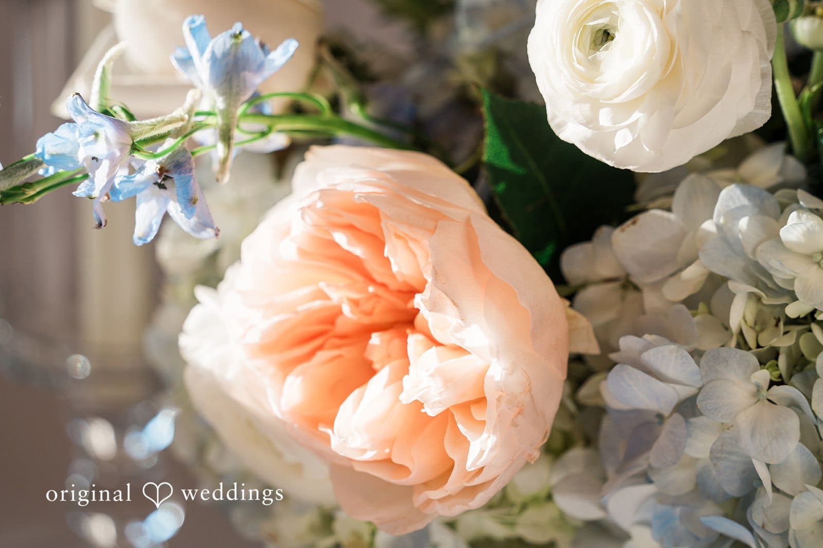 The Arlo Wedding //  Francine & Eric -