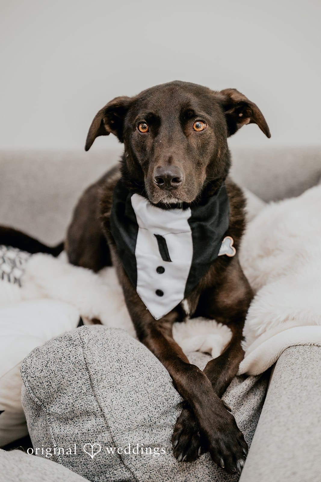 Apple Blossom Resort Wedding | Kamaria & Chris -