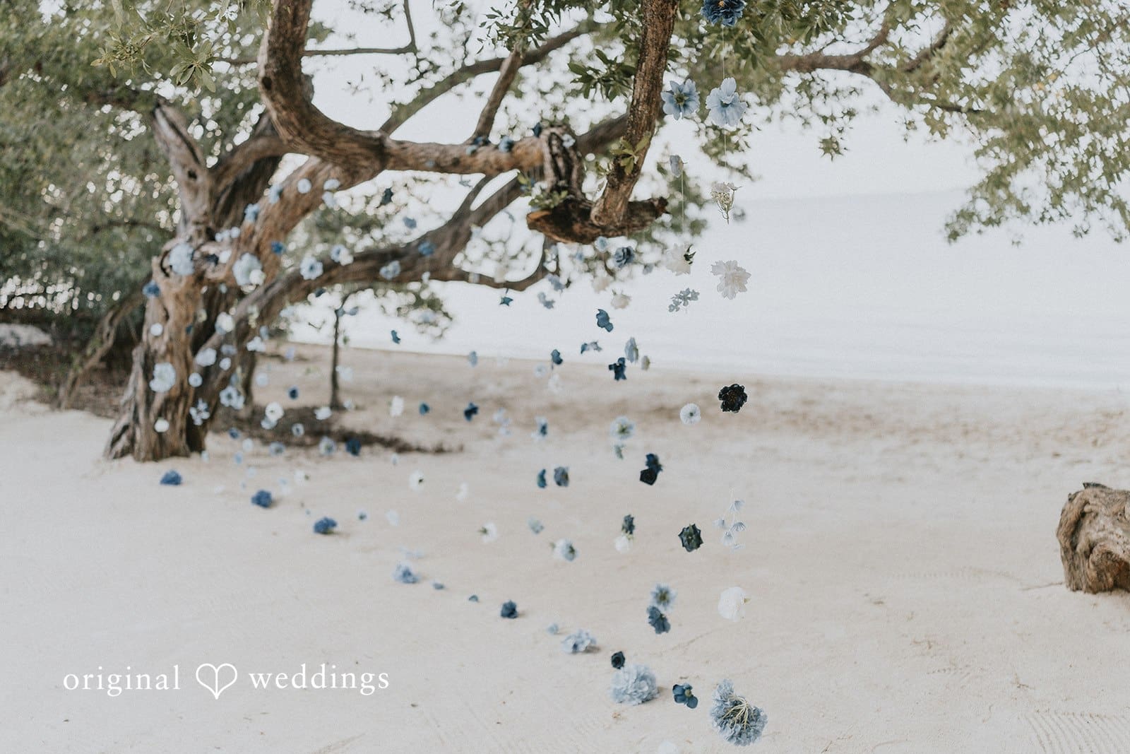 Sabrina + Ryan Beautiful portrait of Baker’s Cay Resort Key Largo