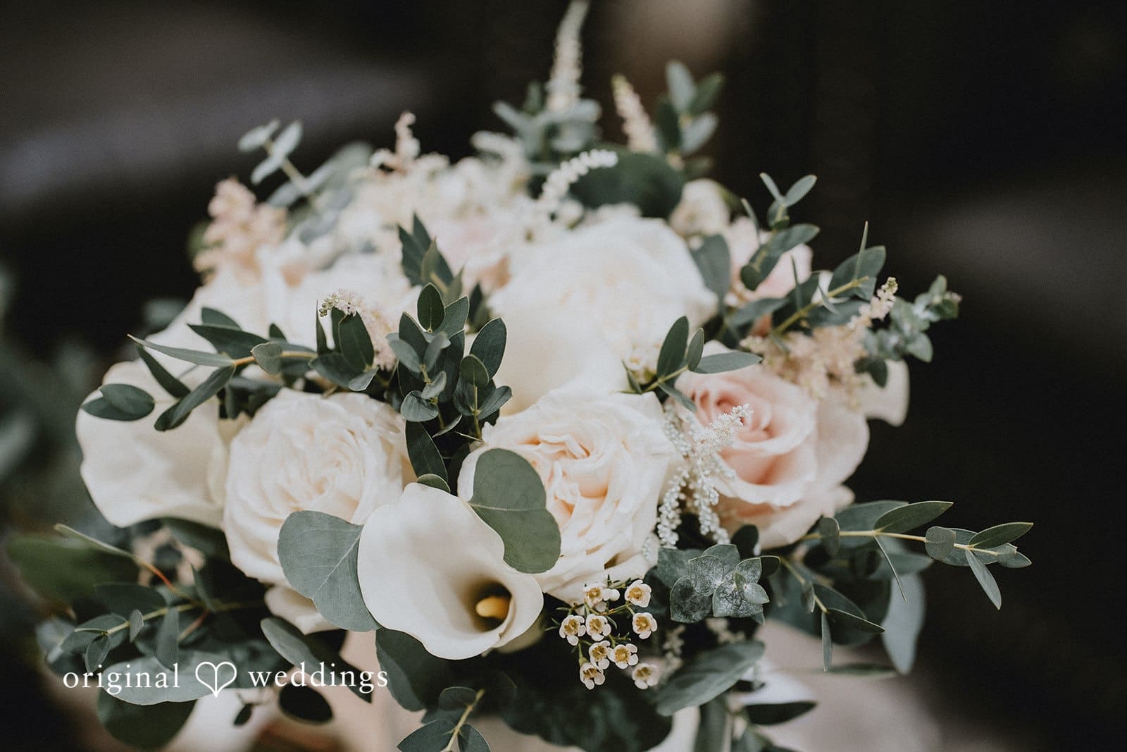 Bishop Farmstead Wedding | Stephanie & Zachary -