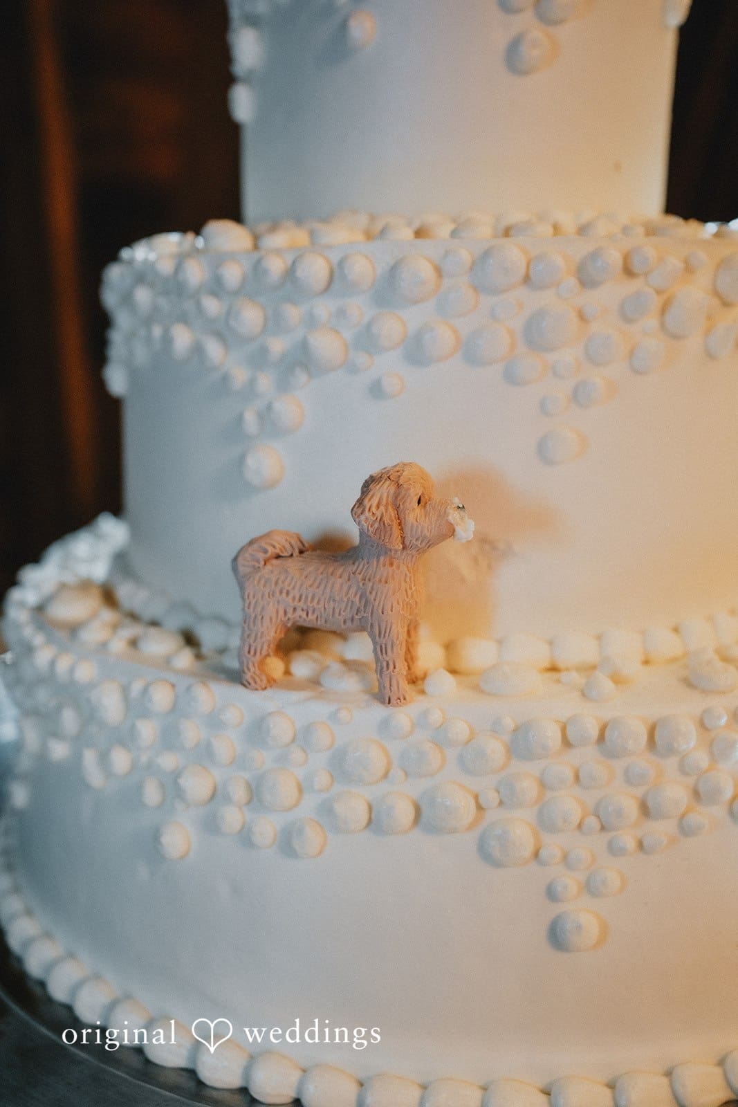 Bishop Farmstead Wedding | Stephanie & Zachary -