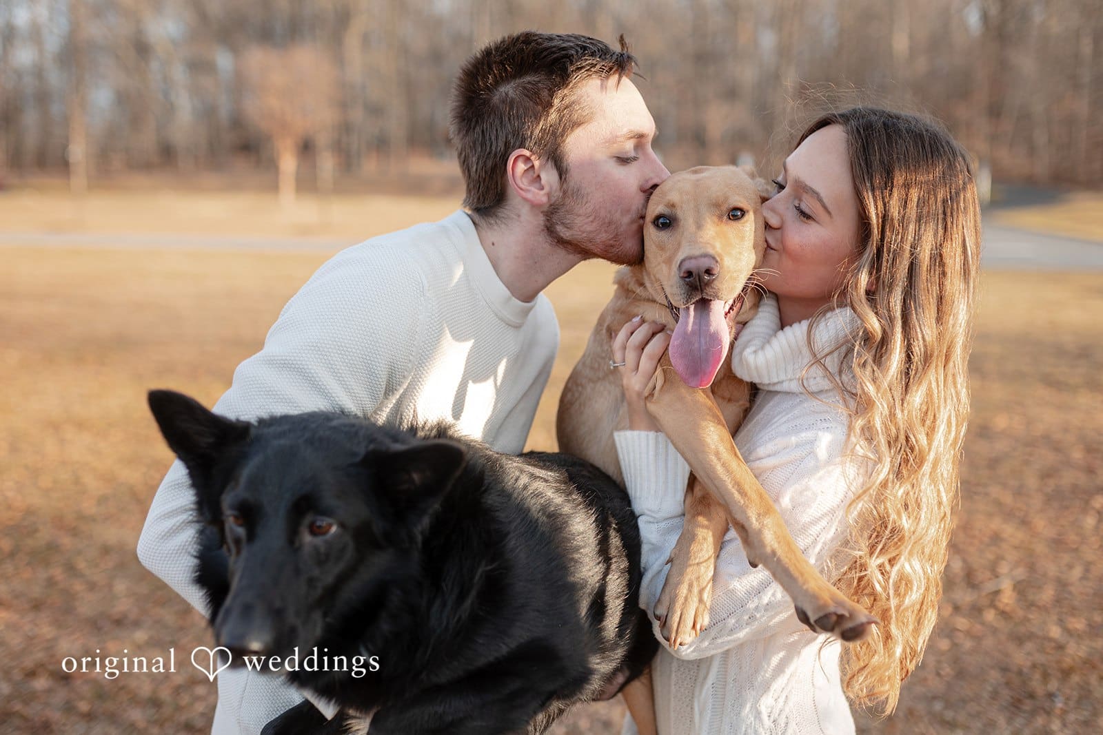 Rosemary + James A romantic portrait of the couple with their dogs