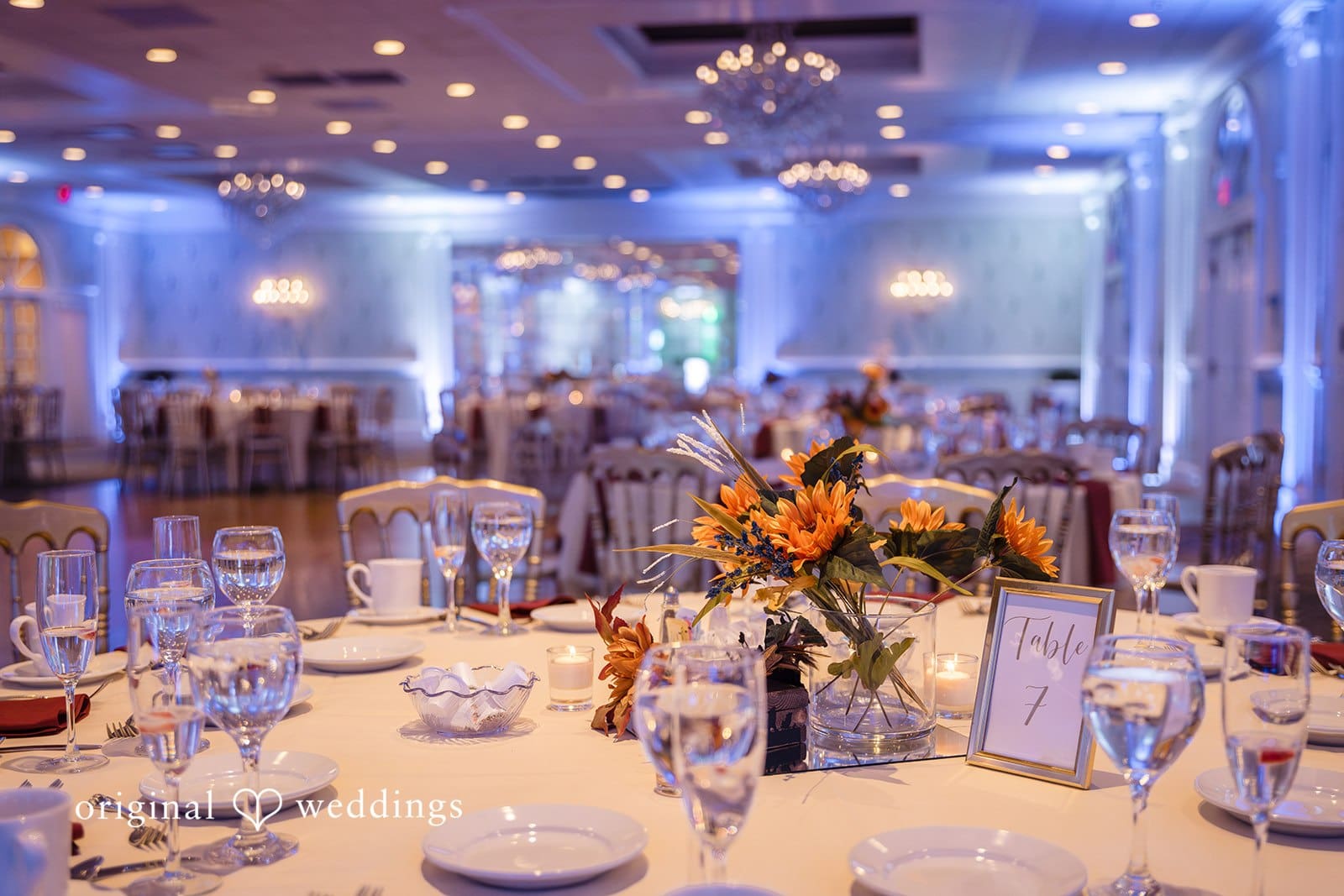 Philadelphia Wedding Photographer at Buck Hotel | Melanie & Owen -