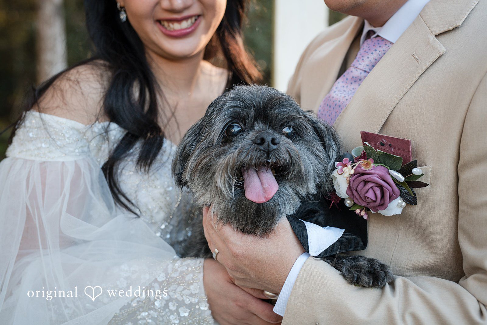 Andrea Edna + Canh Bride with groom and a dog in a wedding photo at Canterbury Hall Tampa.