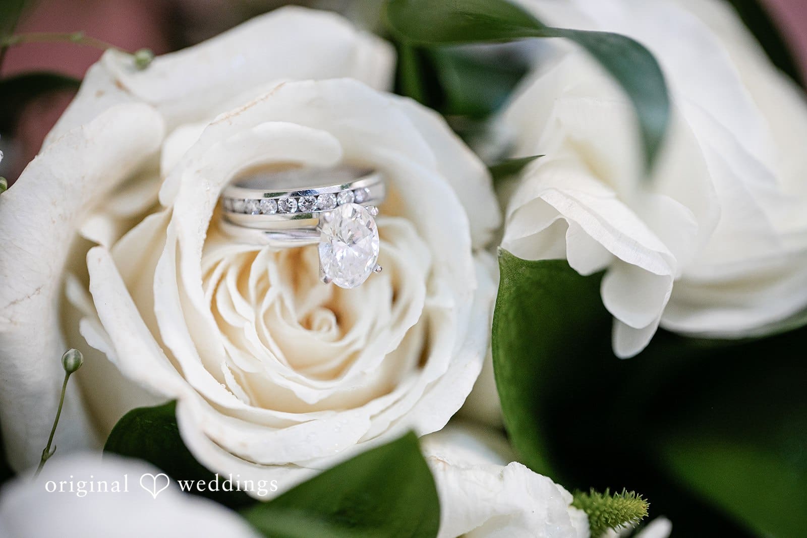 Canterbury Hall Tampa Wedding Photography | Jillian & Drew -