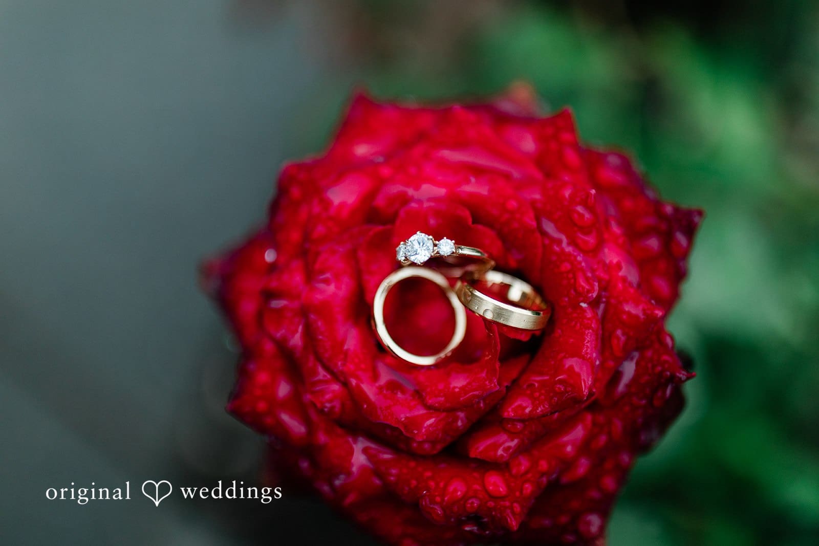 Fox Hollow Farm Wedding // Brigid & Brian -