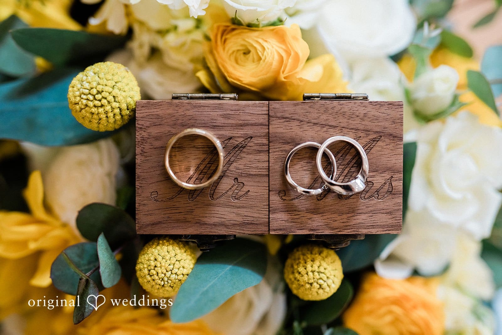 Fox Hollow Farm Wedding // Ashley & David -