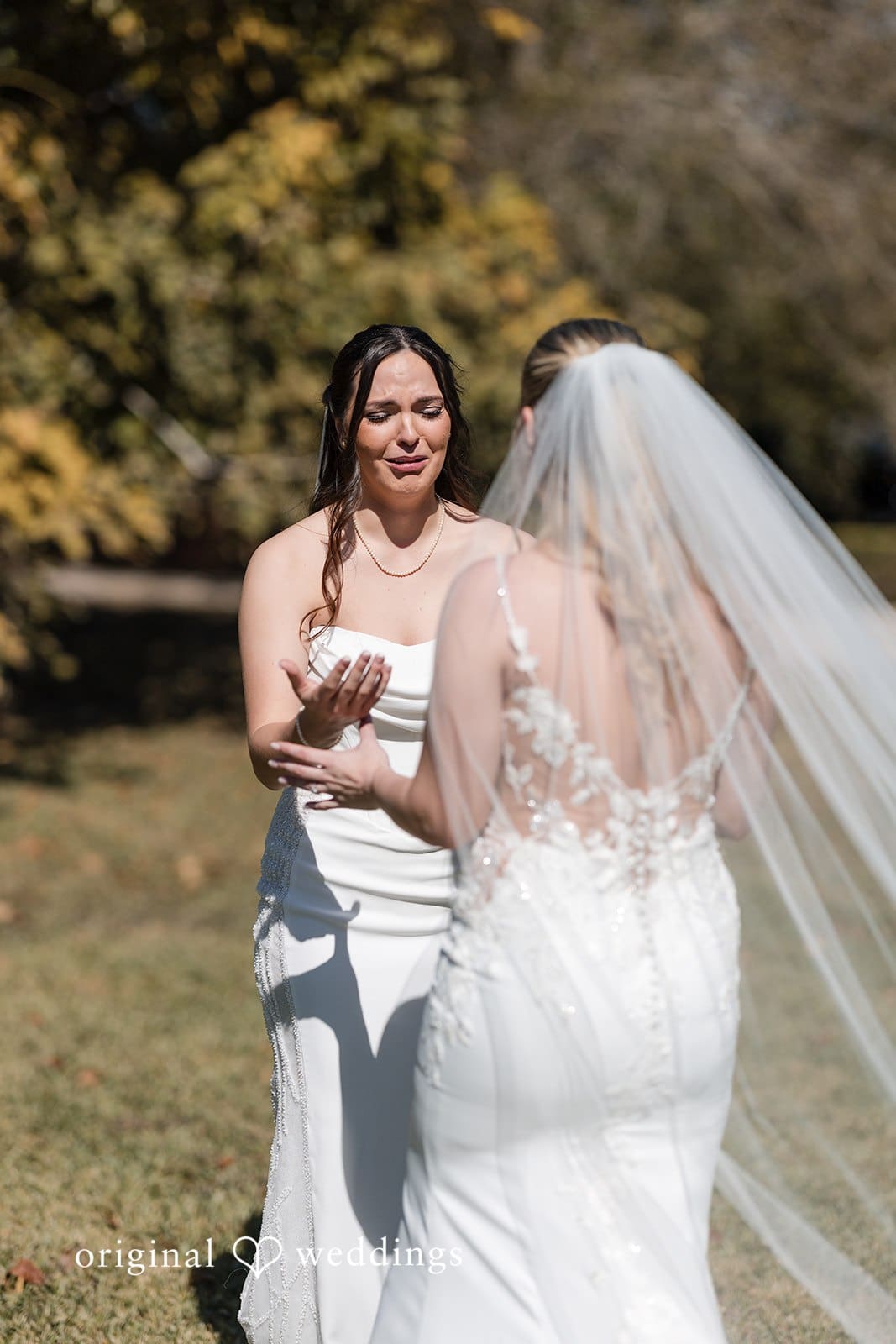 Two brides holding hands in wedding gowns.