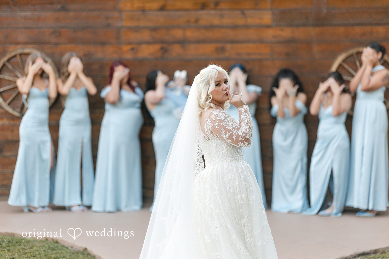 Stunning picture of bride with bridemaids