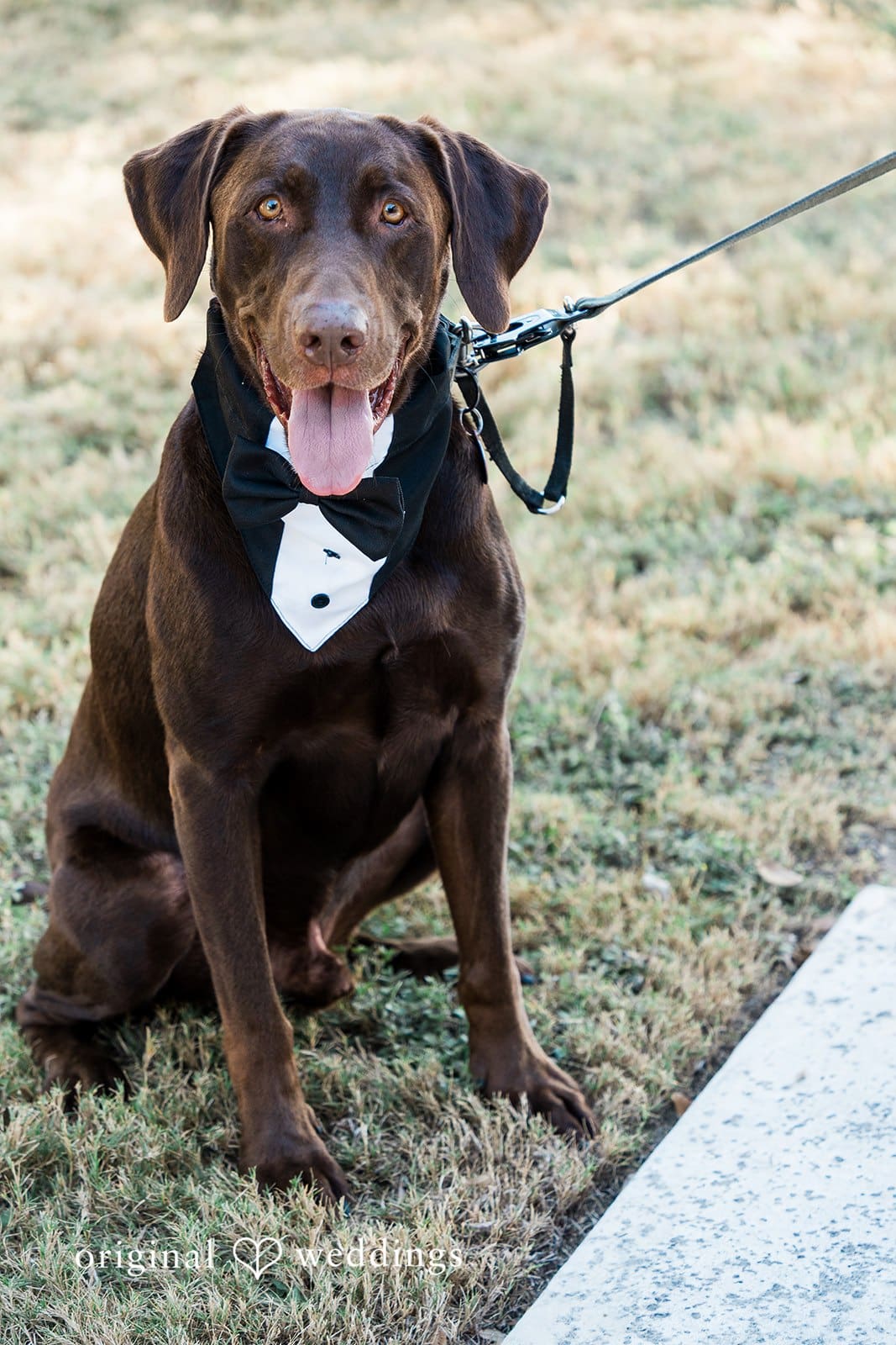 The Arlo Wedding //  Francine & Eric -