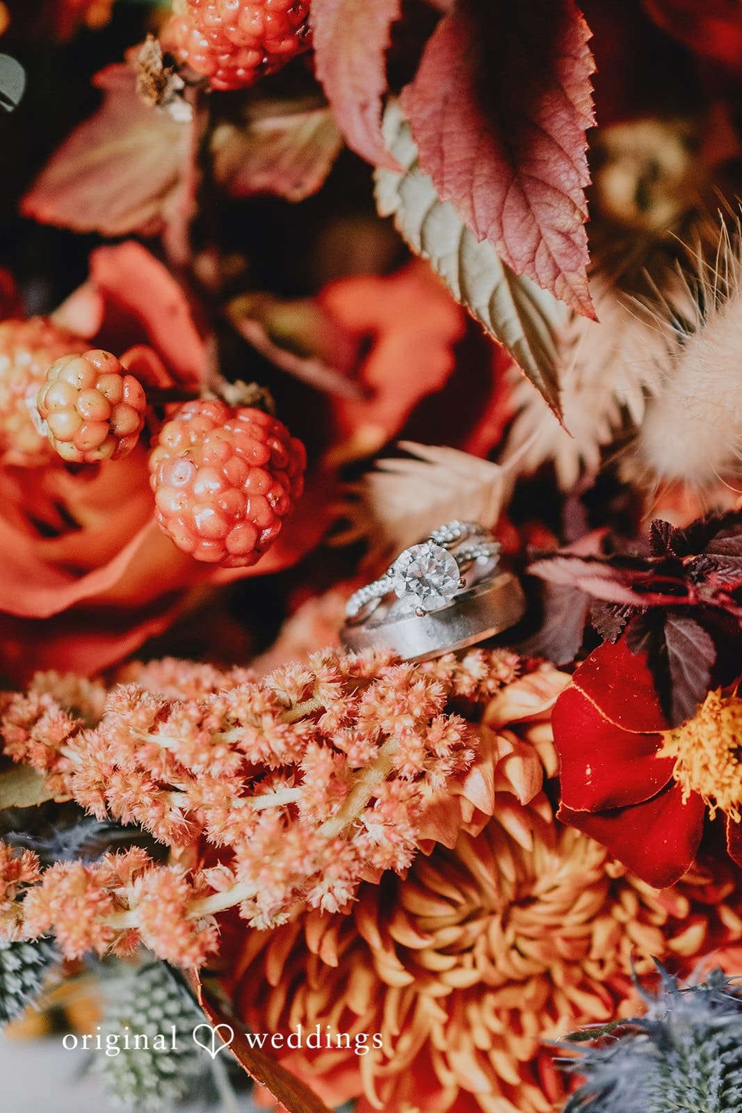 The Black Pearl | Grace & Wade | Portland Wedding Photographer -