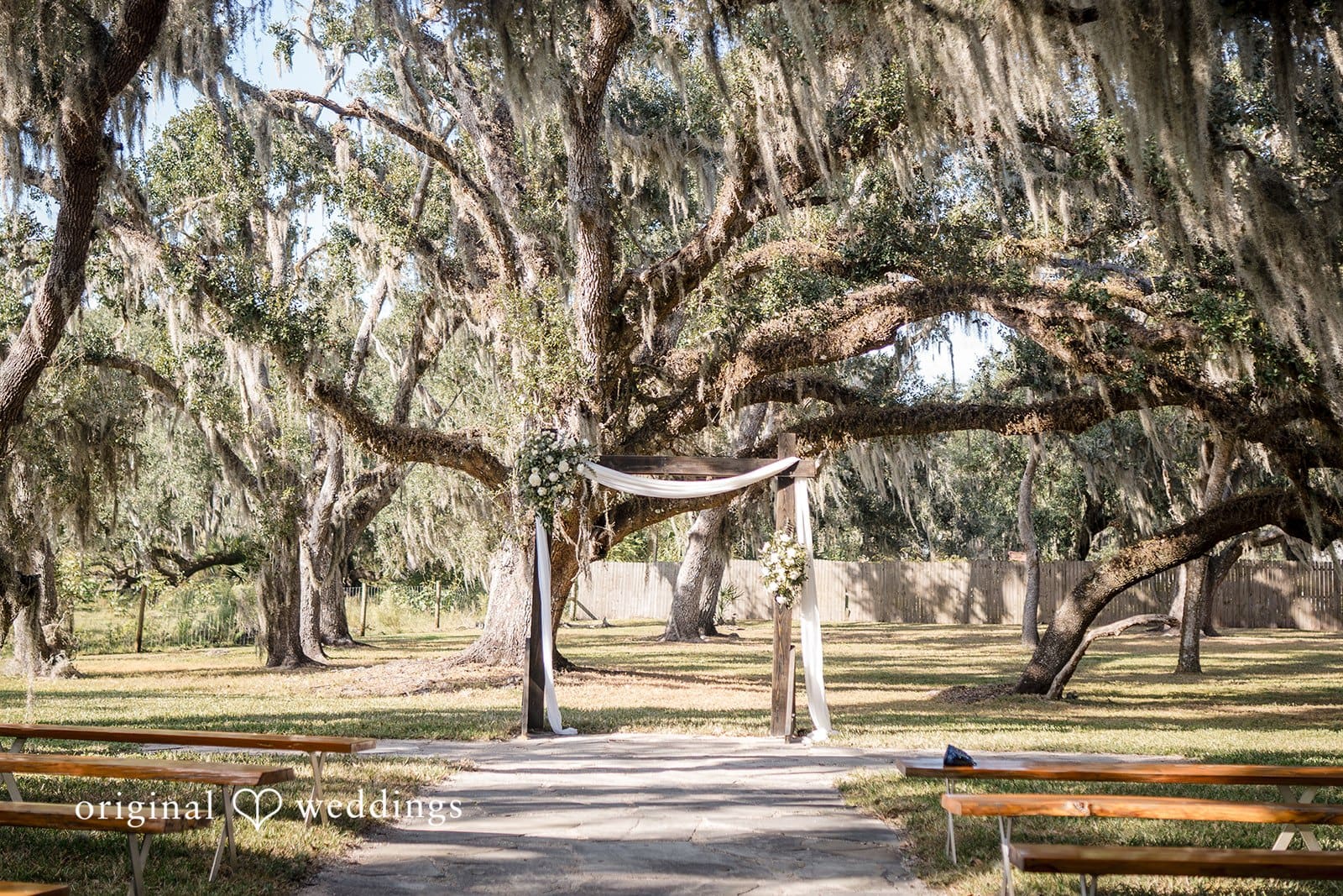 Wedding rings are displayed beautifully with floral details.