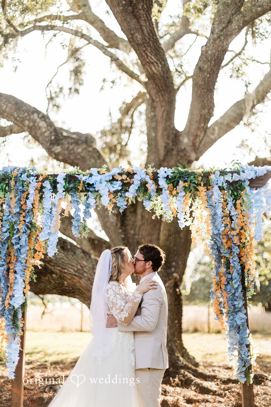 A couple embracing beneath a large oak tree, photographed in classic Tampa Wedding Photography style.