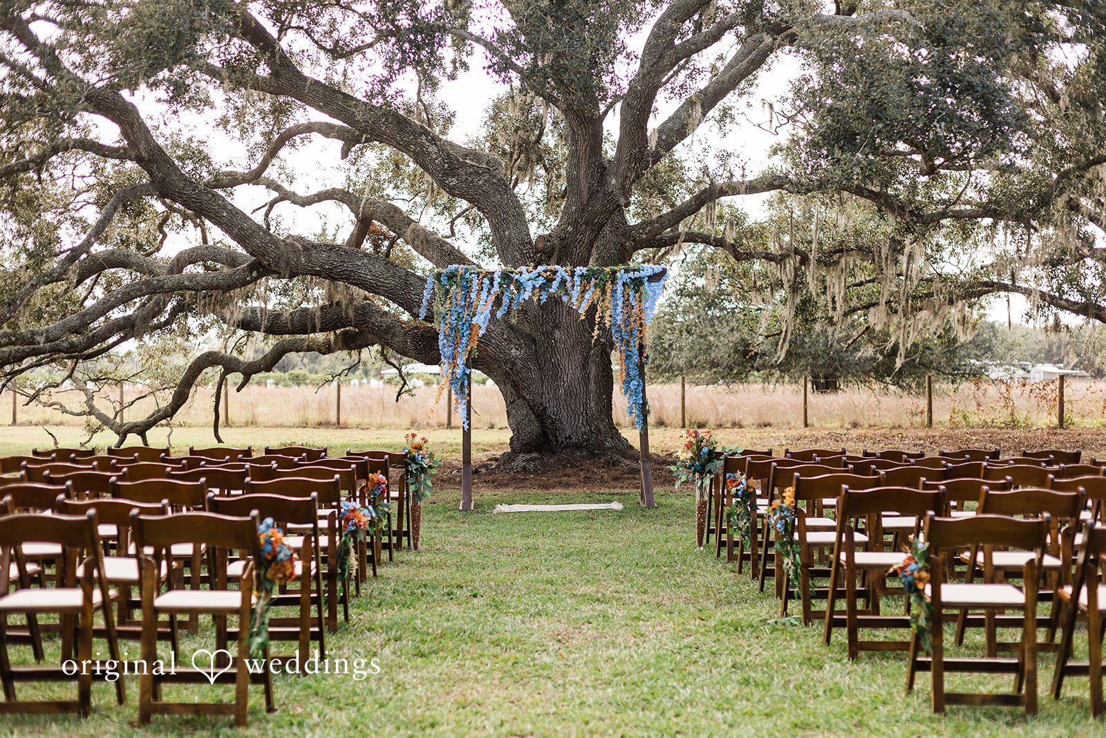 An outdoor wedding ceremony set beneath a grand oak tree, captured in a timeless Tampa Wedding Photography style.