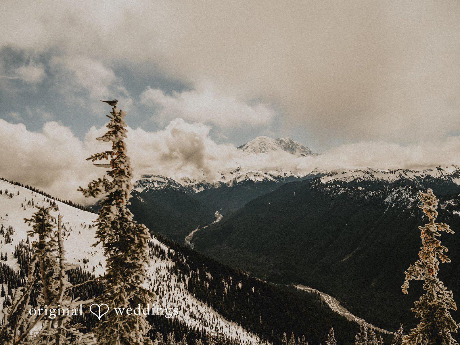 Crystal Mountain Resort Wedding // Isa & Grant -