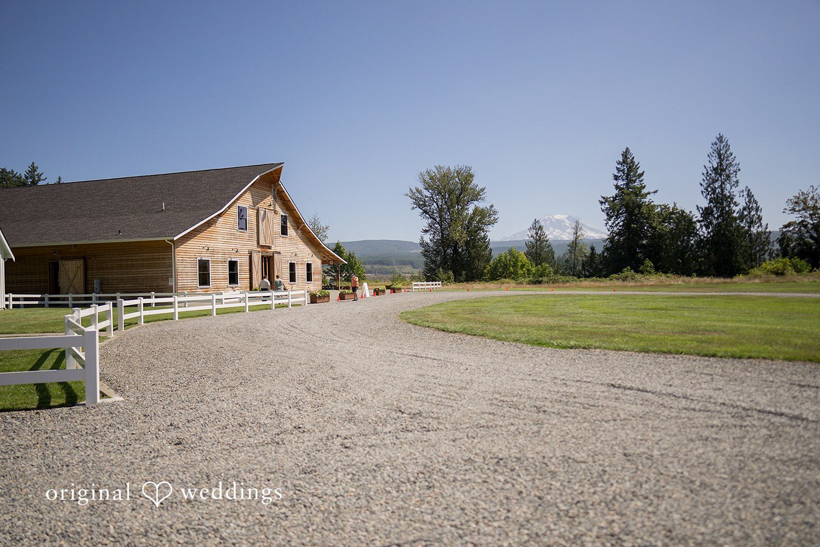 Edlynn Farm Wedding -