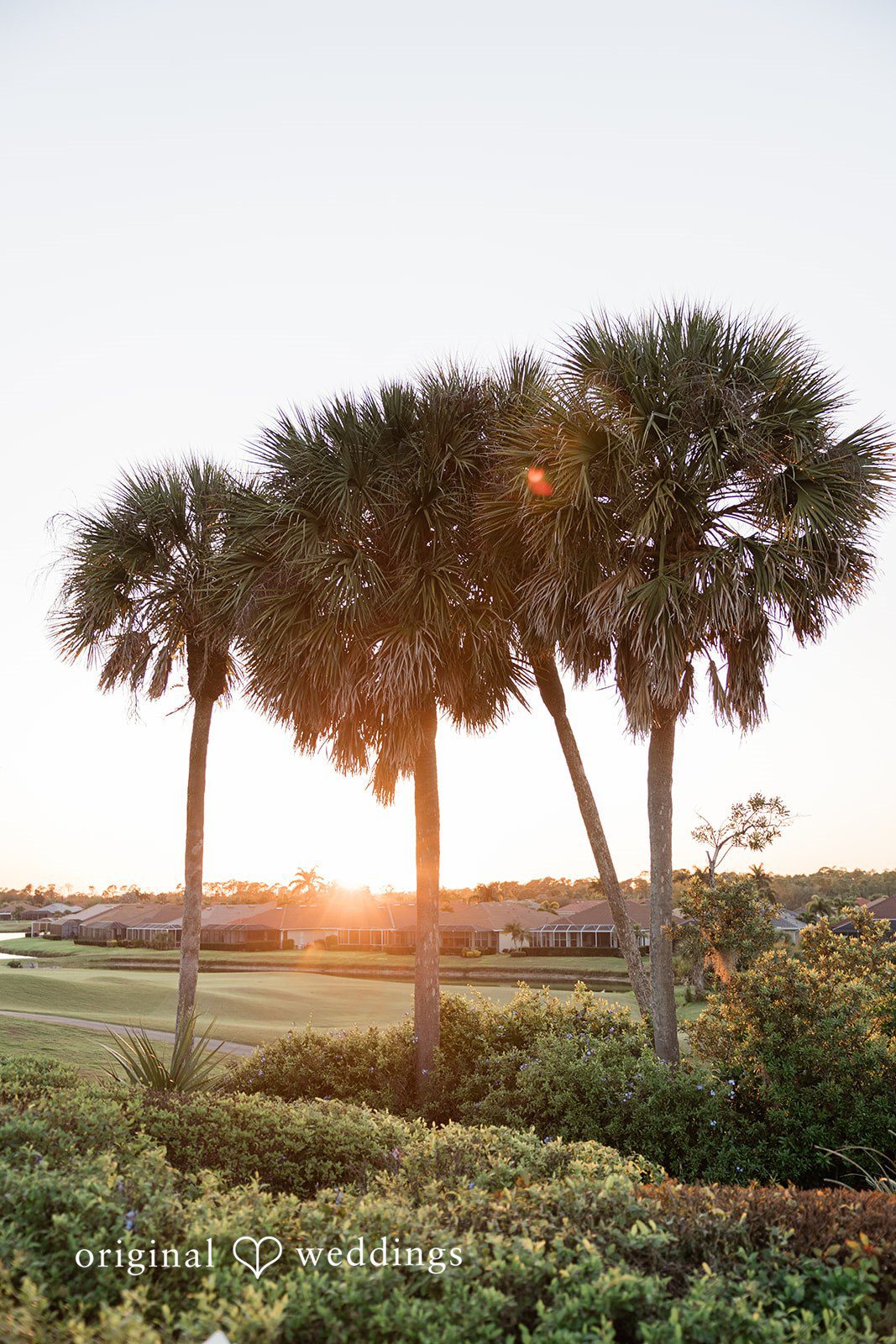 Beautiful view at Heron Creek Golf & Country Club photographed by Tampa wedding photographers from original weddings