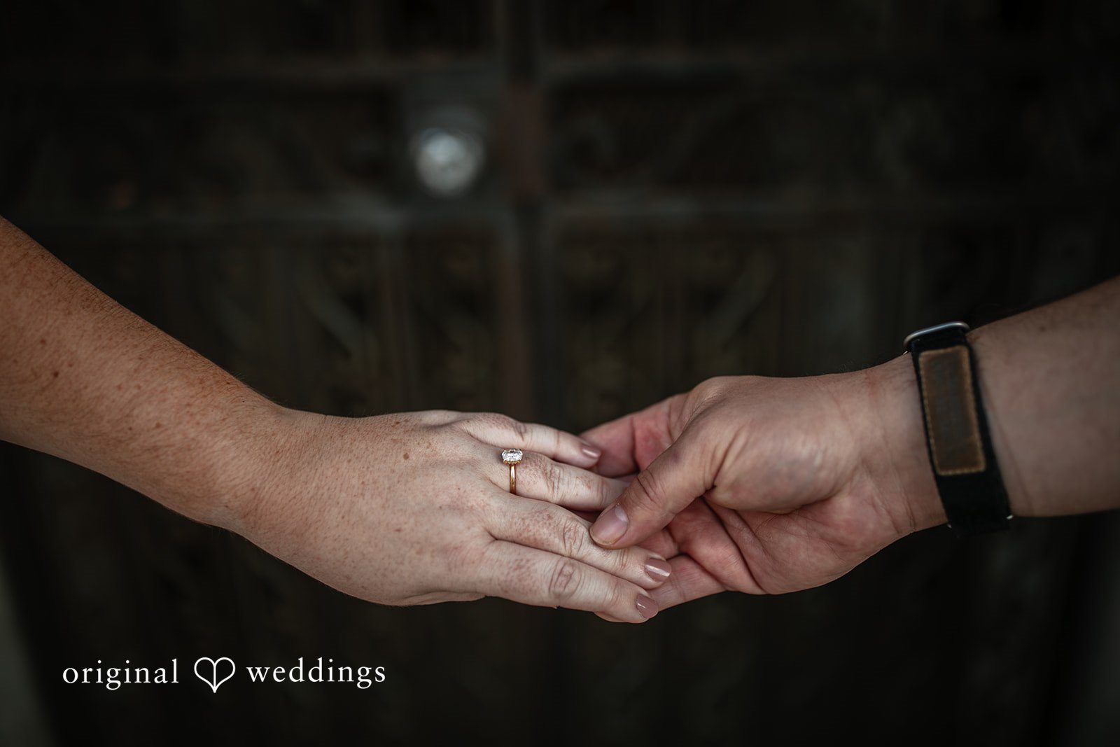 Kraft Azalea Gardens Engagement | Ariel & Erick -