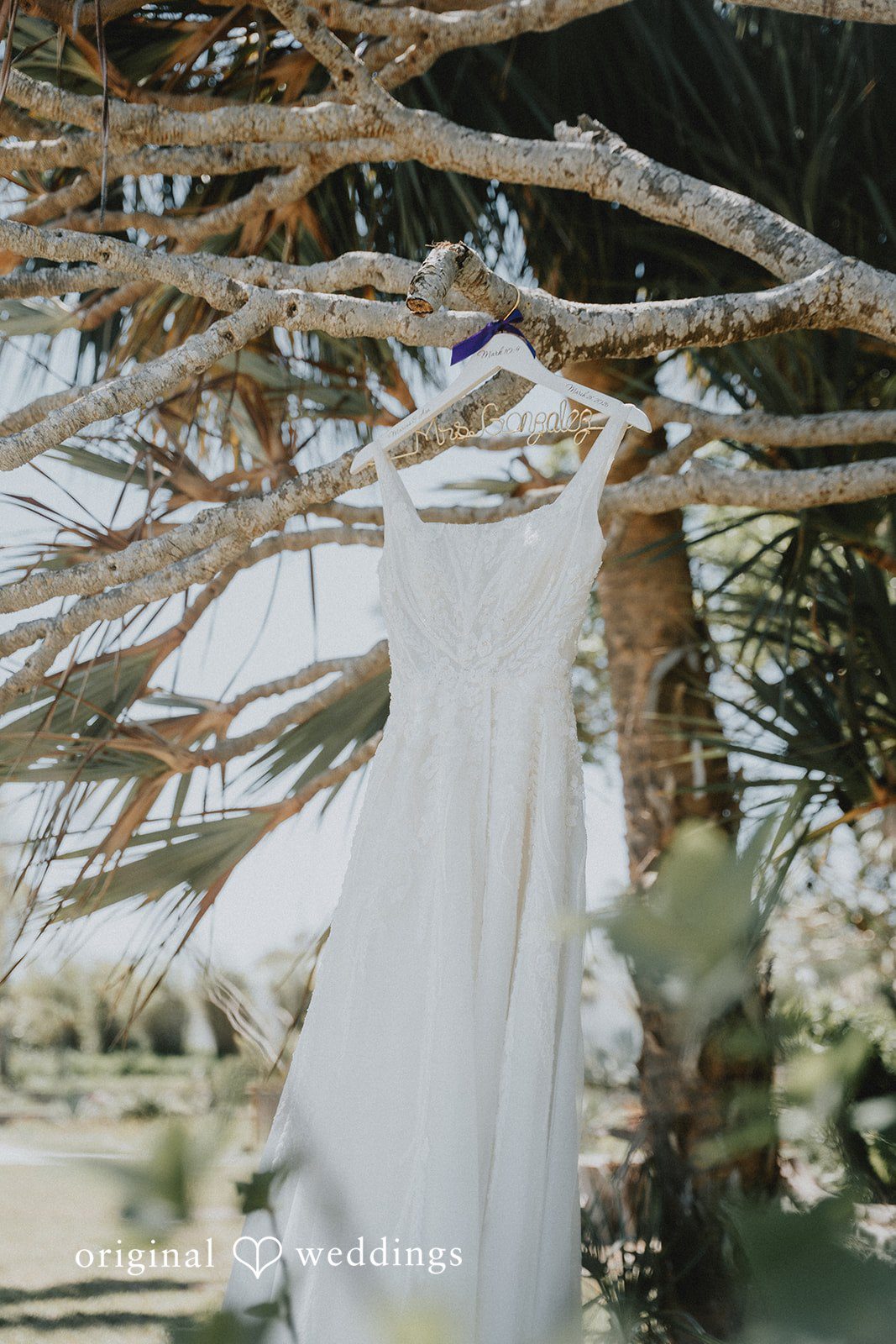 The bride's gown gracefully hanging at the garden