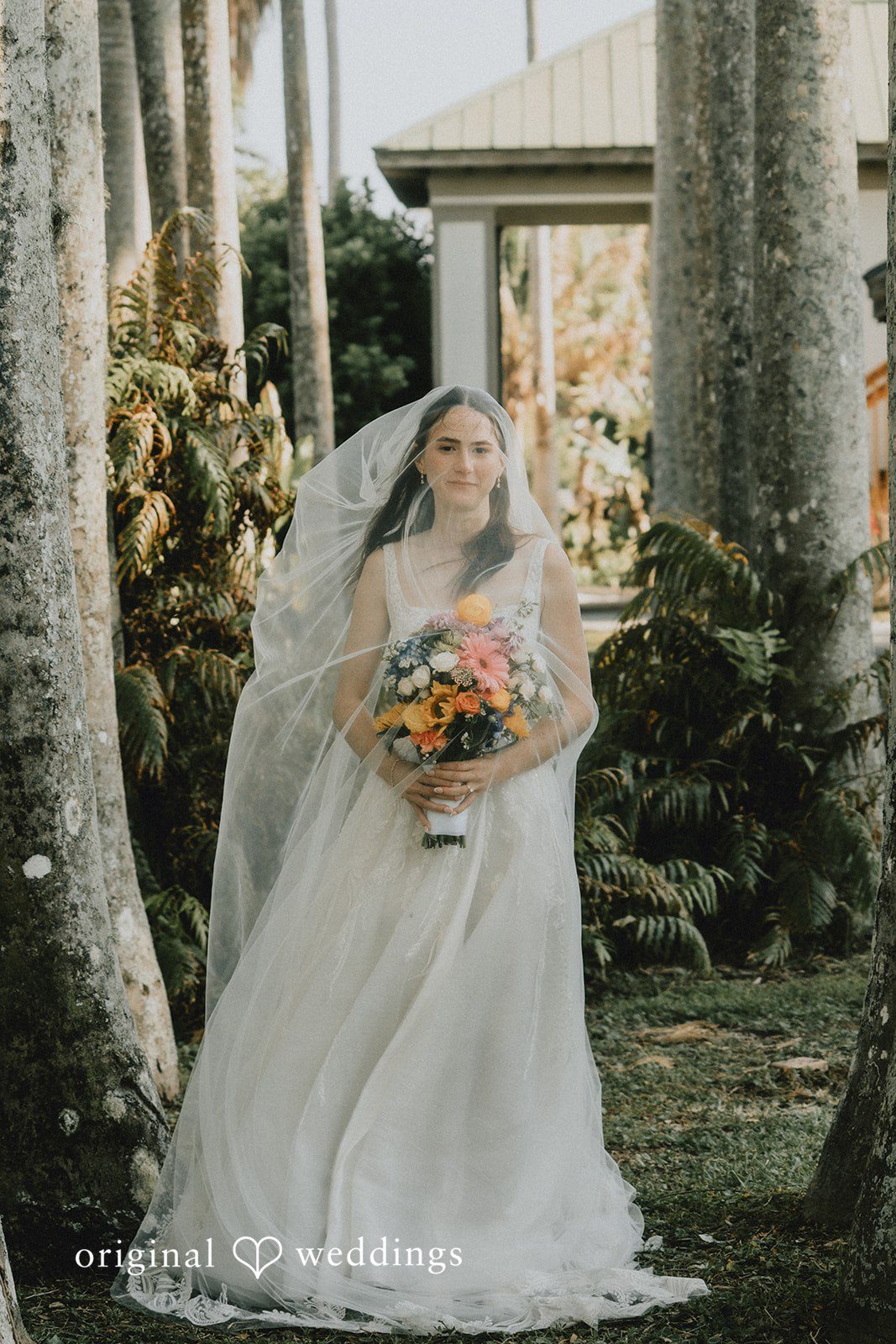 A stunning portrait of the bride covered in veil