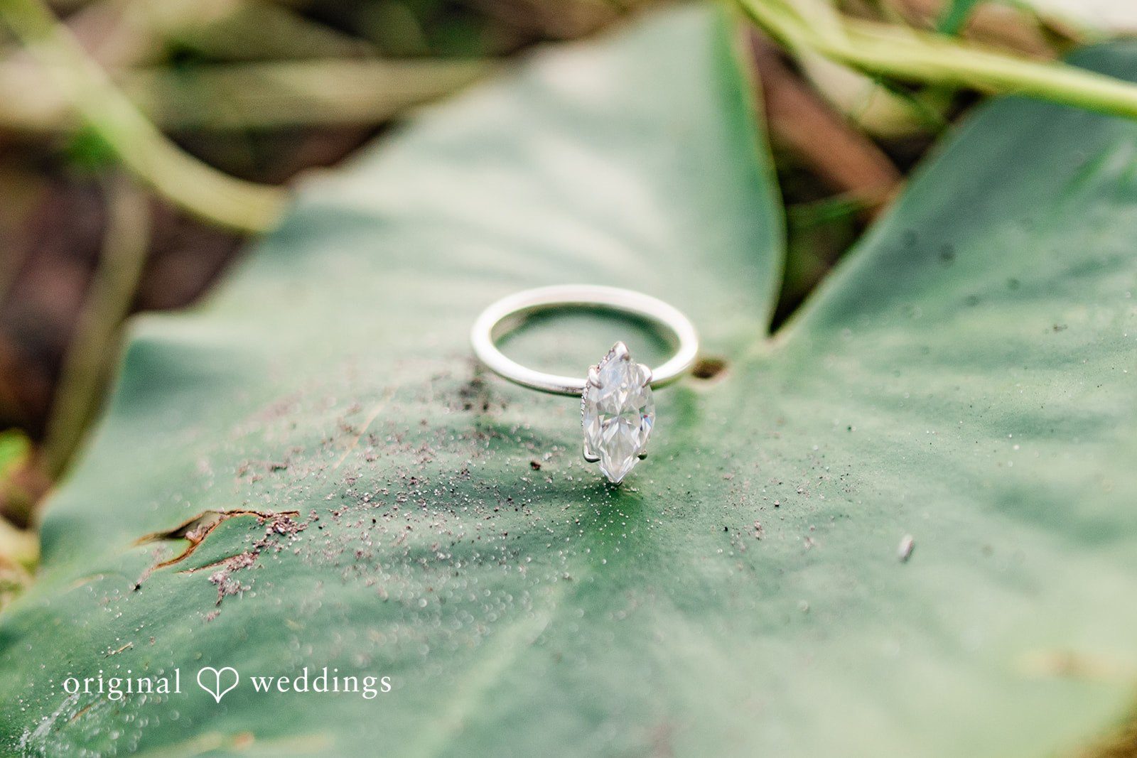 Tampa Engagement Photos showing the engagement ring resting on a leaf at The Barn at Crescent Lake in Odessa, captured by Original Weddings