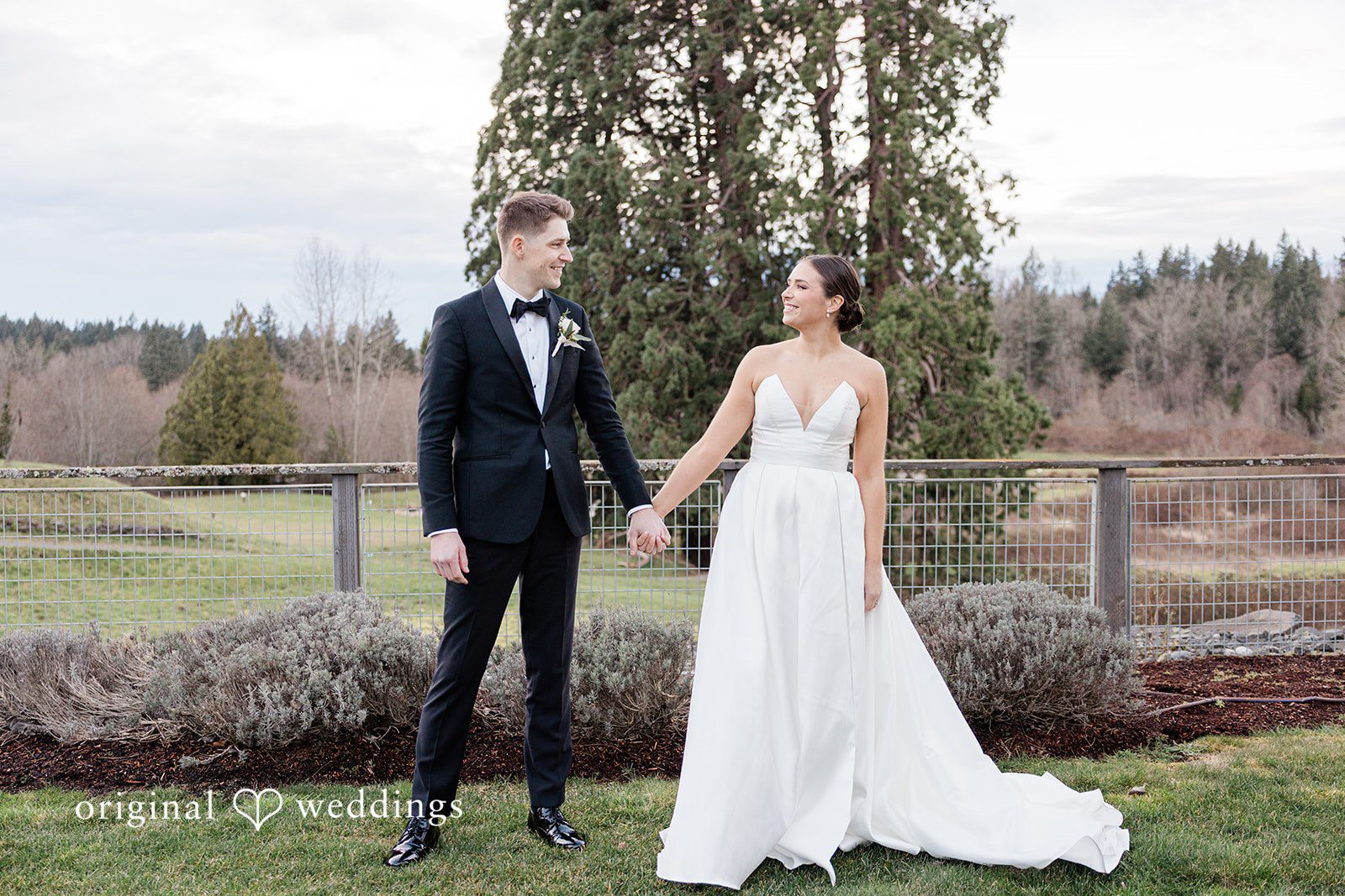 Elegant picture of couple holding hands