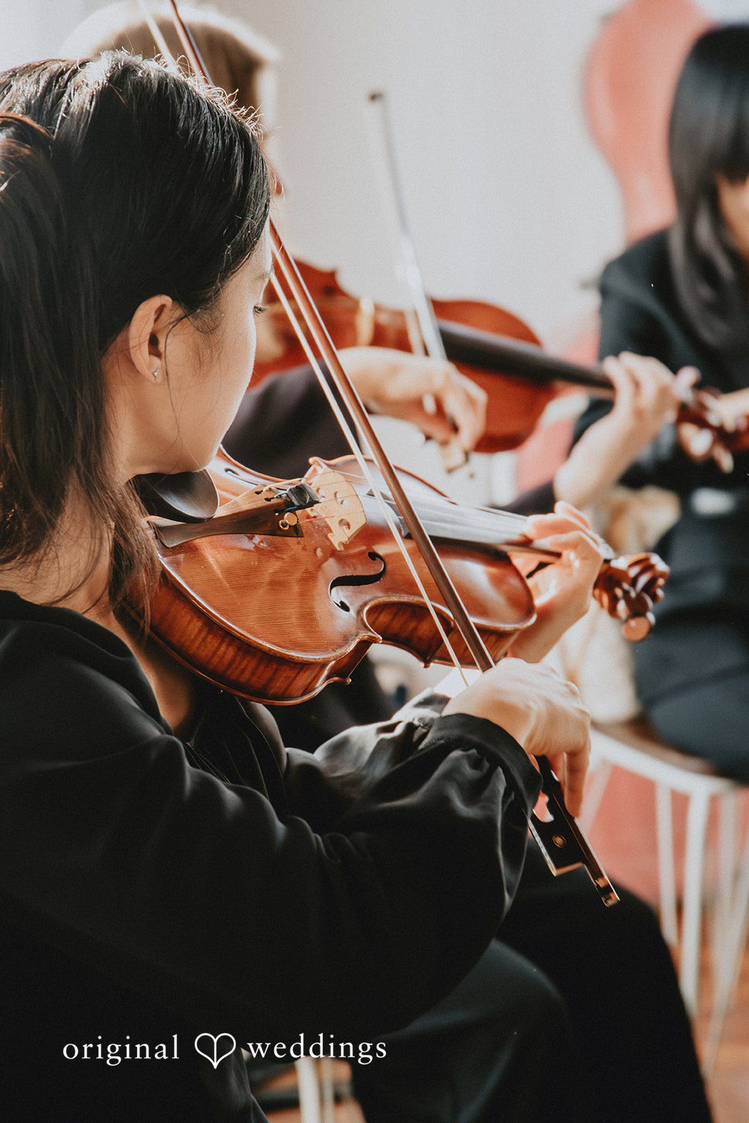 Dianna + Devin The violinists playing some sounds at the wedding reception
