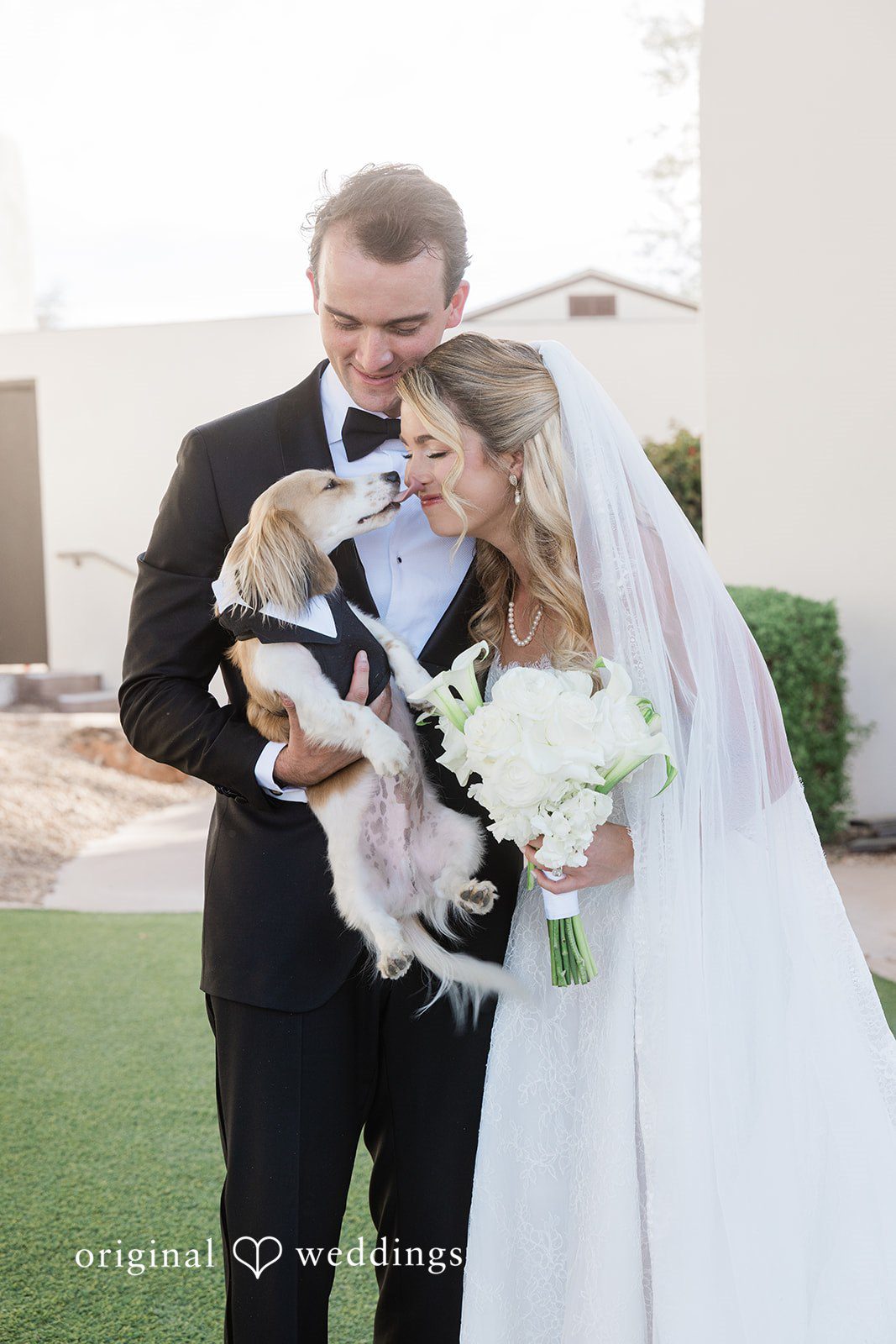 Kathryn + Calum Couple posing with their dogs and wedding party