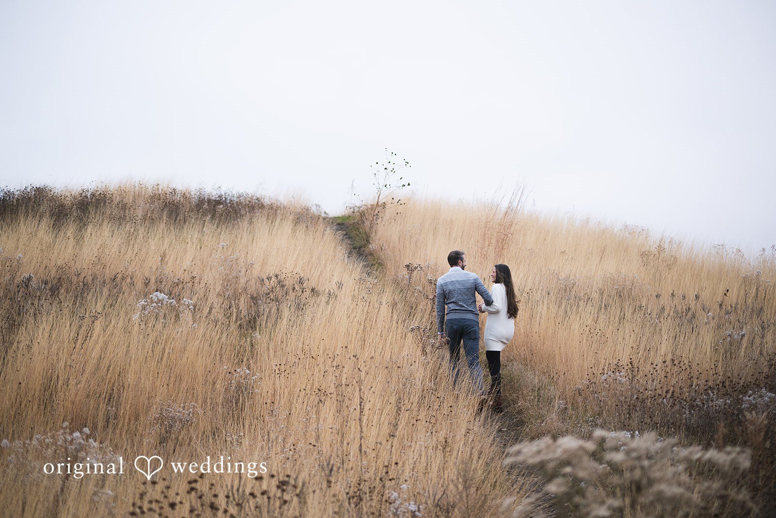 Chicago Engagement Photographers at Adler Planetarium | Monica & Dj -