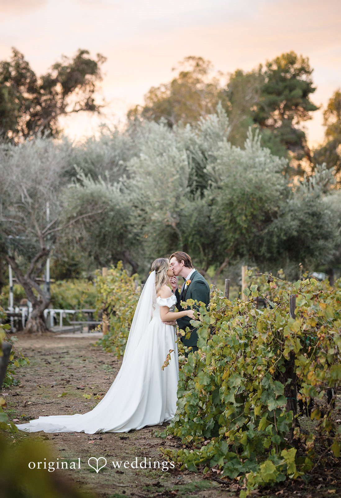 Olivia + Connor Wide portrait of the couple among the vineyard gardens